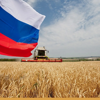 В России уточнили данные по сокращению посевных площадей в 2026 году