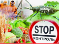 Площадь распространения карантинных объектов в Казахстане в текущем году сократилась до 46,5 тыс. га