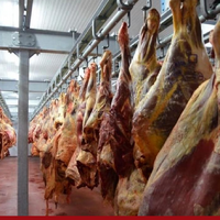 Производство мяса всех видов в Казахстане за четыре месяца 2026 года превысило 338 тыс. тонн Производство мяса всех видов в Казахстане за четыре месяца 2026 года превысило 338 тыс. тонн