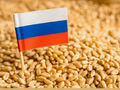 С 5 августа пошлина на экспорт пшеницы из России составит 5,7 рубля за тонну