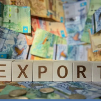 +37%: в Казахстане экспорт продукции АПК достиг 7 млрд долларов