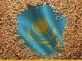 Казахстан ищет новые каналы сбыта зерна: планируются прямые поставки пшеницы в Малави