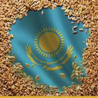 Казахстан ищет новые каналы сбыта зерна: планируются прямые поставки пшеницы в Малави Казахстан ищет новые каналы сбыта зерна: планируются прямые поставки пшеницы в Малави