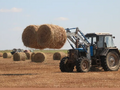 77%: казахстанские аграрии на 5 августа заготовили почти 20 млн тонн кормов