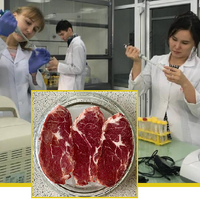 В Казахстане разработан ПЦР-тест для выявления фальсификации мясной продукции В Казахстане разработан ПЦР-тест для выявления фальсификации мясной продукции