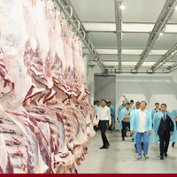 Закрыты ли внешние рынки для экспорта говядины из Казахстана? — заявление Минсельхоза 