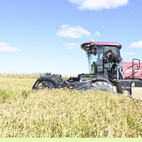 Посевы риса в Кызылординской области за 4 года сократились на 19 тыс. гектаров, или на 21%