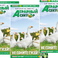 Вышел в свет зимний номер журнала «Аграрный сектор» №4 (62) 2024-2025 гг.