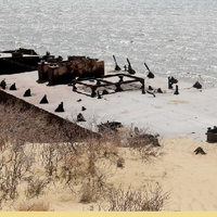 В этом году планируется направить 2,5 млрд кубометров воды на защиту окружающей среды Казахстана