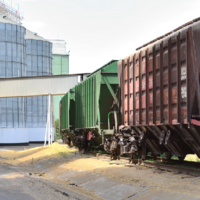 Казахстан: к началу декабря по сети КТЖ перевезено более 8 млн. тонн зерна нового урожая