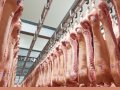 Казахстан получил право экспортировать свинину в Китай
