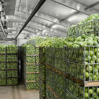 В Костанайской области планируется ввести 12 проектов по переработке и хранению сельхозпродукции