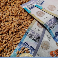 НЕ ТОРОПИТЕСЬ ПРОДАВАТЬ ЗЕРНО