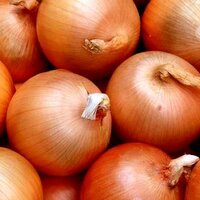 Казахстан снял запрет на экспорт лука, но ввел квоты на вывоз