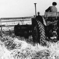 У истоков сортоиспытания: 95 лет Карабалыкскому ГСУ
