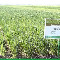 Прародитель аграрной науки Казахстана