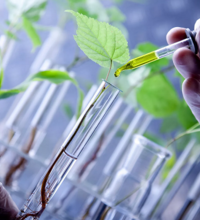 Биологическая защита растений: логично, экономично, экологично