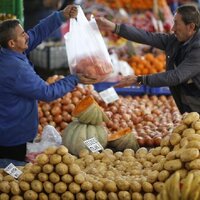 ФАО: за 25 лет мировая торговля продовольственными и сельскохозяйственными товарами увеличилась более чем в два раза и достигла 1,5 трлн. долларов США