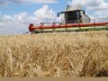 Аграрии Казахстана завершают уборочную кампанию с высоким урожаем
