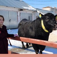 Удмуртия экспортировала в Казахстан партию генетического материала для искусственного осеменения КРС