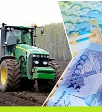 Казахстан: Минсельхоз упрощает механизм системы субсидирования