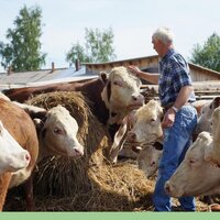 «Ломать — не строить»: ликвидация Фонда поддержки сельского хозяйства приведет к потерям малого бизнеса