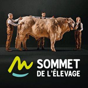 Sommet 2025