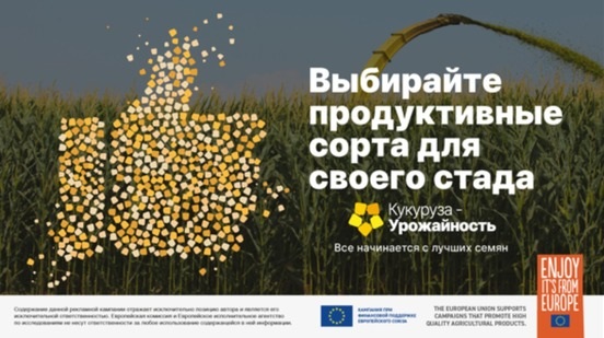 Выбирайте продуктивные сорта для своего стада