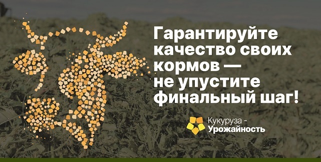 Все начинается с лучших семян