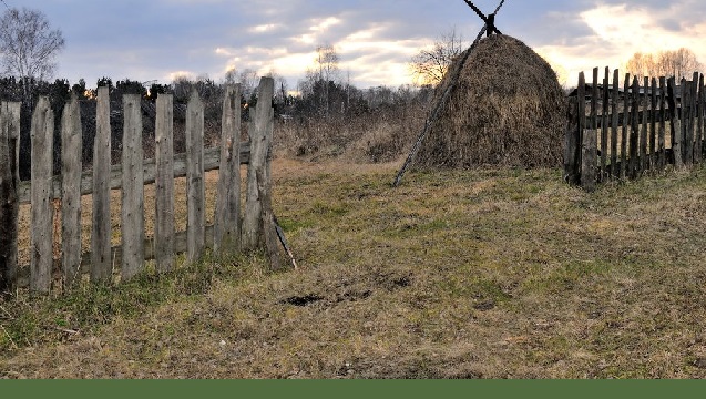 Чтобы пусто не было: в Казахстане в 20 раз увеличена ставка налога на неиспользуемые сельхозземли