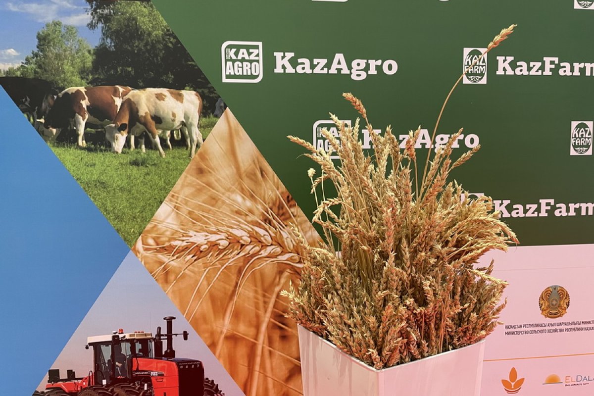 В Астане с 12 по 14 октября пройдёт выставка «KazAgro/KazFarm-2022» -  Аграрный сектор - Агроновости - Портал новостей Агробизнеса