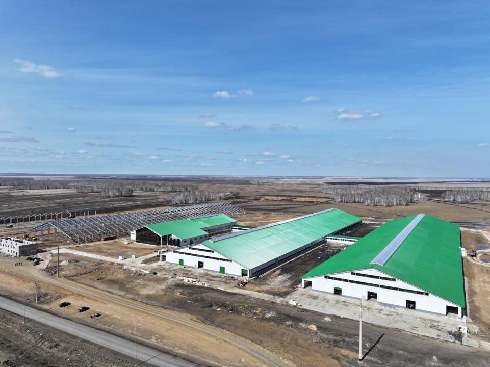 Северо-Казахстанская область усиливает лидерство в молочной отрасли