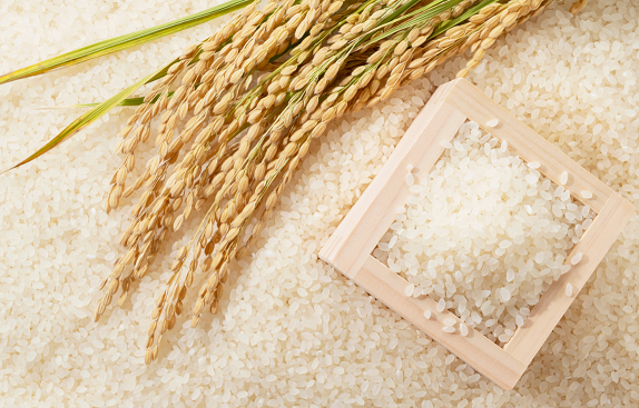 Минсельхоз РФ планирует увеличить производство риса до 2 млн. тонн и вернуться к его экспорту