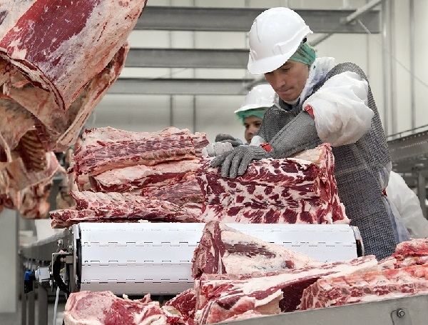 В 2024 году экспорт говядины из России вырастет на 11% 