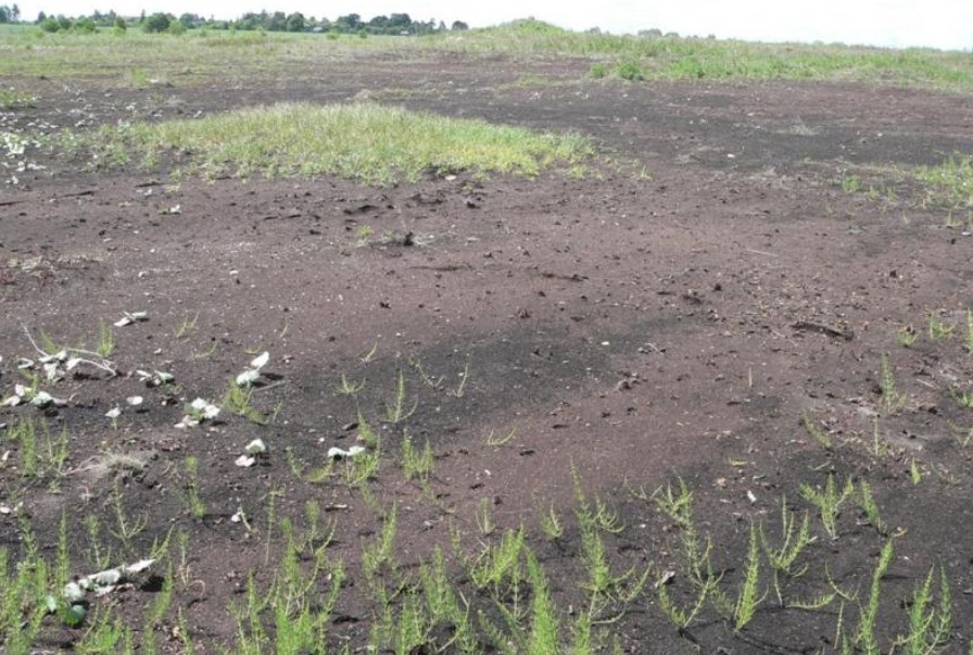Деградация почв загрязнение почв. Опустынивание земель в Беларуси. Деградация почв, эрозия, опустынивание. Деградация почв. Истощение почвы.