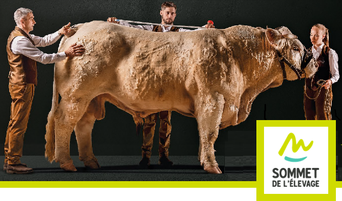 Саммит животноводства — крупнейшая платформа инноваций отрасли