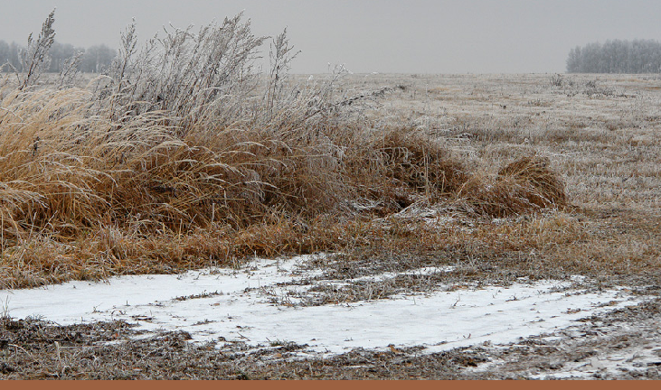 На большей части Казахстана декабрь прогнозируется с температурным фоном около нормы