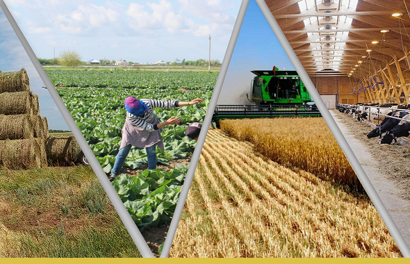 Какие крупные агропроекты планируется реализовать в Казахстане в ближайшие два года?