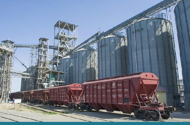 Экспорт казахстанского зерна в Китай смещается в пользу комбикормов