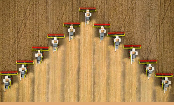 В Казахстане урожай зерна-2025 составил более 27 млн тонн, в том числе 20 млн тонн пшеницы 