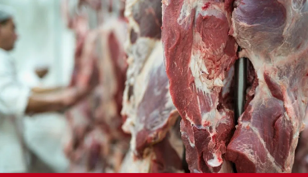 Кувейт намерен импортировать говядину и подсолнечное масло из Казахстана