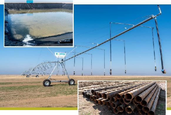 Аграрии области Жетісу планируют выращивать корма на 1 тыс. га, используя технологию дождевального орошения 