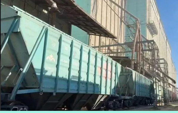 Впервые за 30 лет в Армению отправлена пшеница из Казахстана