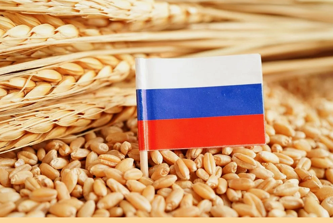 Экспорт российского зерна резко сократился: число стран-покупателей пшеницы упало с 50 до 30
