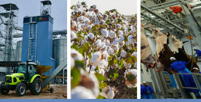 Туркестанская область создает три мощных агрокластера для переработки сельхозпродукции