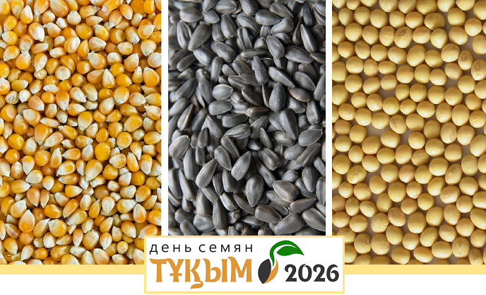 День семян: французские селекционеры представят новые сорта и гибриды на международной конференции в Астане 