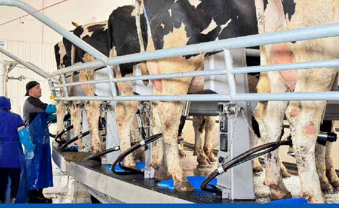 Казахстан поставляет животноводческую продукцию в 42 государства