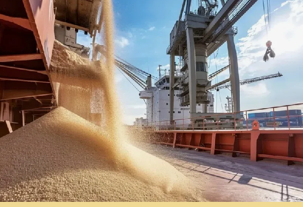 В Казахстане экспортная выручка от продажи зерна за 8 месяцев составила 2,2 млрд долларов