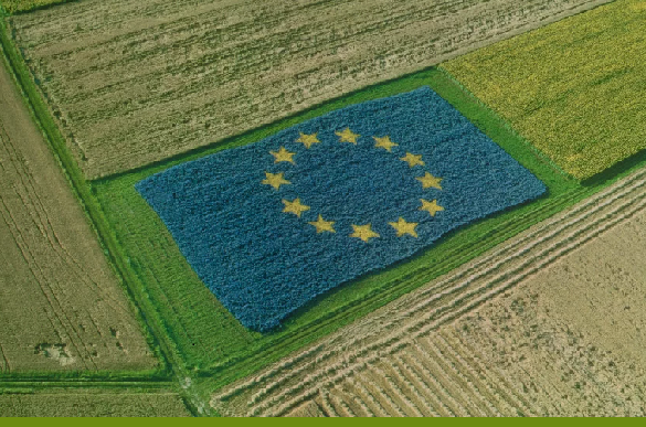 Сделать все почвы здоровыми за 25 лет решил Европейский Союз с принятием официальной директивы