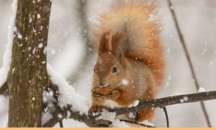 Казгидромет: зима на большей части Казахстана ожидается умеренно теплая